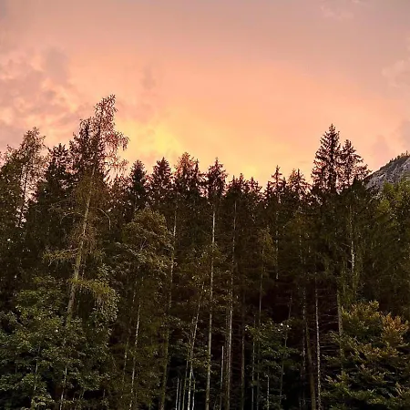Berg & Wald *