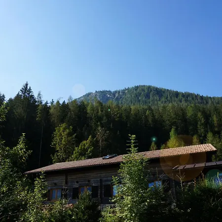 Berg & Wald *