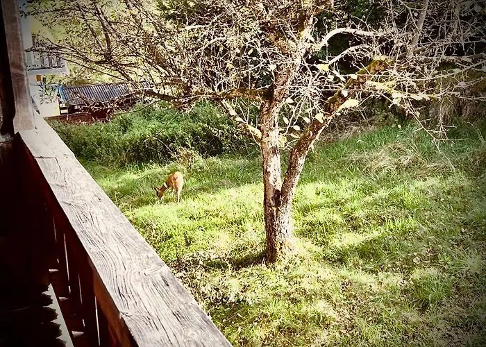 Apartamento Berg & Wald Schönau am Königssee