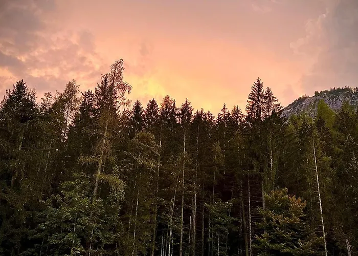 Berg & Wald *