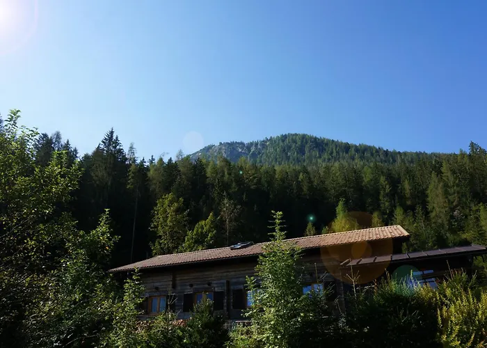Berg & Wald *